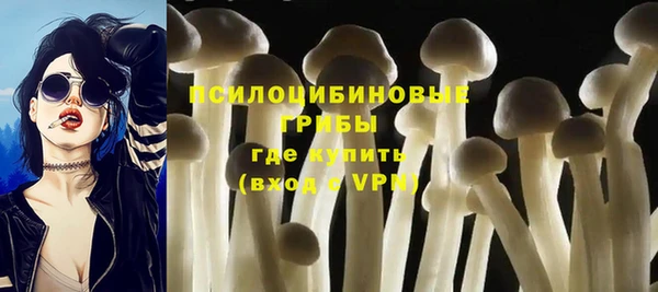 мескалин Медвежьегорск