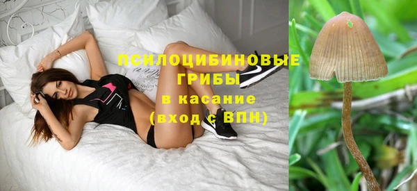 прущие крисы Медногорск