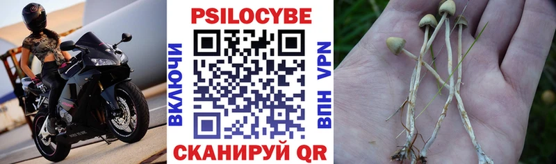 сайты даркнета формула Змеиногорск Псилоцибиновые грибы мухоморы
